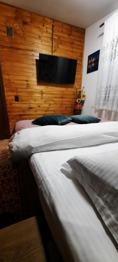 CălimăneştiView Cozia别墅 外观 照片
